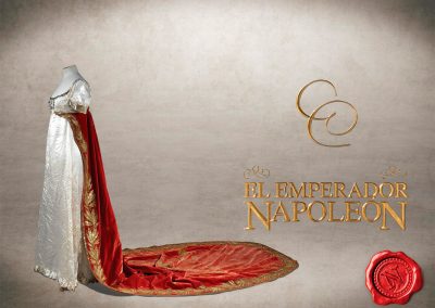 napoleon-expositivo-2